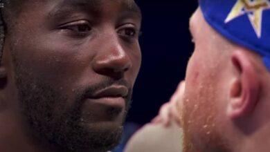 canelo vs crawford493