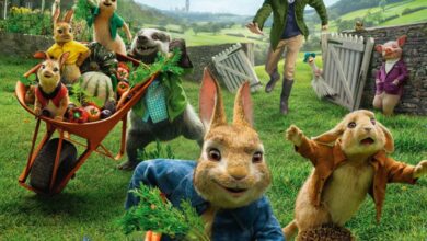 Pierre Lapin