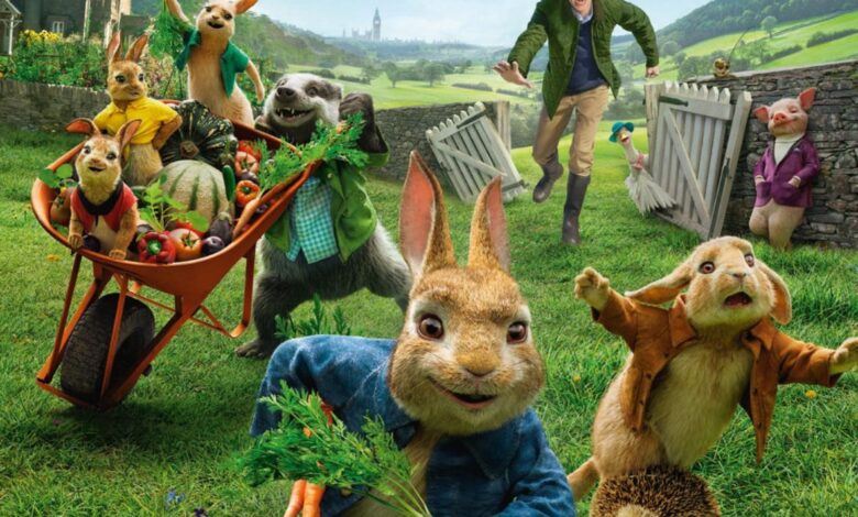 Pierre Lapin